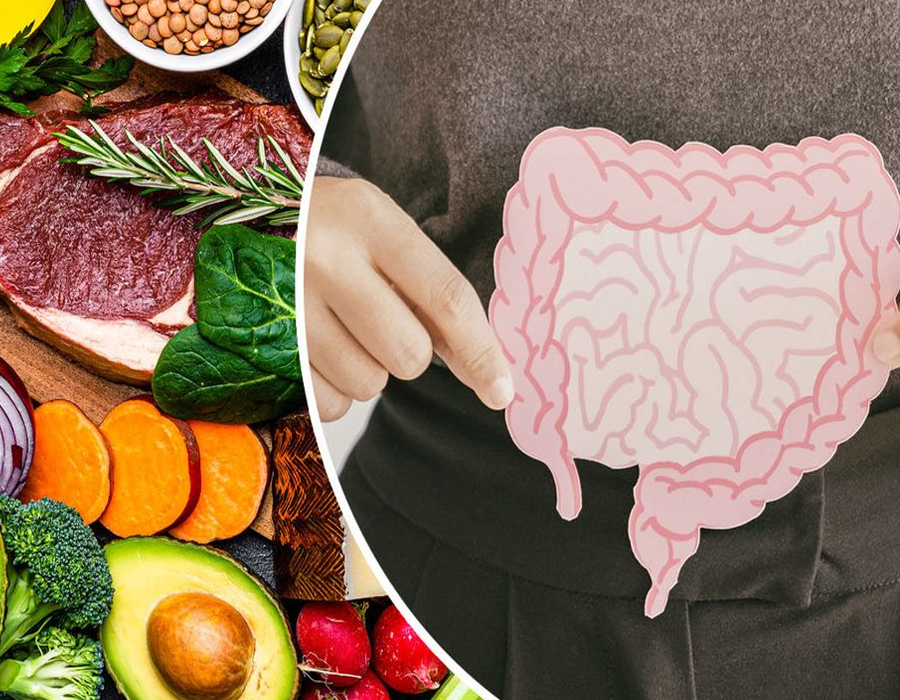 Gut Health And Food Good For Gut Health